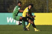 U19-Bundesliga: BVB schlägt Preußen Münster - 16-jähriger Brunner trifft erneut 