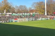 Regionalliga West: Preußen Münster gewinnt vor großer Kulisse das Münsterland-Derby