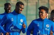 Schalke: Diese fünf Knappenschmiede-Spieler sind bei der WM 2022 dabei