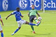 Regionalliga West: Topspiel gegen Schalke II - das sagt Preußen-Trainer Hildmann