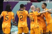 WM 2022: Niederlande und Senegal erreichen WM-Achtelfinale