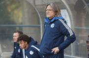 U19-Bundesliga: BVB und Schalke erhöhen Druck auf Spitzenreiter Köln
