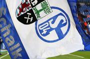 Schalke: In Split - Zwei S04-Fans bei Schlägerei verletzt