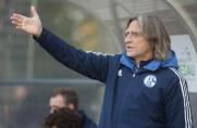 U19-Bundesliga: Schalke mit Remis gegen Oberligisten, auch BVB spielt Unentschieden
