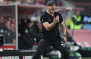 1. FC Köln: Zwei Leistungsträger zurück, so geht Baumgart in Schalkes "Endspiel"