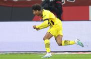 Borussia Dortmund: Sieg bei Hallers Startelf-Debüt - Noch drei Punkte auf die Bayern