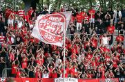 Hallescher FC: Nach historischer Pleite - "Mir fehlen die Worte"