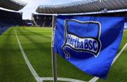 Hertha BSC: Windhorst-Nachfolger - 777 Partners neuer Hertha-Investor