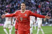 Bundesliga: Hertha und Stuttgart punkten - torhungrige Bayern weiter Spitzenreiter