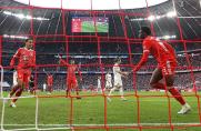 Champions League: FC Bayern im Viertelfinale gegen Manchester City