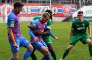 Regionalliga West: WSV schlägt Rödinghausen - wilde Schlussphase in Wuppertal