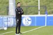 MSV Duisburg: Junioren-Trainerposten für nächste Saison fix