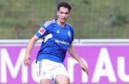 Schalke: Greiml vertritt Jenz - Kral am Donnerstag zurück