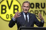 Bundesliga: Watzke und Zingler pro Investoren im Profi-Fußball