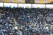 Schalke: S04-Fan Treppe runtergestoßen - Security-Mitarbeiter in Haft