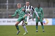3. Liga: Waldhof Mannheim schlägt in der Regionalliga West zu