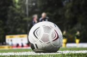 Landesliga Niederrhein: Teilnehmer, Staffeln - das ändert sich in der kommenden Saison