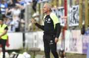 SV Meppen: Trainer- und Sportchef-Entscheidung ist gefallen