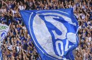 Bundesliga: FC Bayern nach Drama-Finale Meister, Schalke abgestiegen