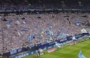 Schalke: Trotz Abstieg! S04-Fans heiß auf Dauerkarten