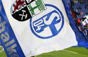 Schalke: S04-Mitgliederbrief - Saisonabrechnung und Ziel Wiederaufstieg