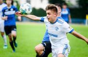 Schonnebeck: Nächster Neuzugang! Ehemaliger U19-Spieler des FC Schalke 04 kommt