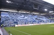 MSV Duisburg: Fan-Bündnis sammelt Spenden für einen höheren Spieleretat