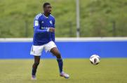Schalke: Wird Ibrahima Cissé zur Überraschung? Das sagt Thomas Reis
