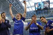 FC Schalke 04: Alex Kral wechselt zu einem Champions-League-Teilnehmer
