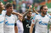 Regionalliga West: Ex-Schalke-Profi verstärkt U21 des 1. FC Köln