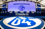 Schalke: RevierSport-Liveticker zum Nachlesen - Jahreshauptversammlung in der Arena
