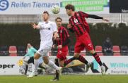 SV Meppen holt Stammspieler aus der Regionalliga West