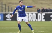 Zwei Schalke-Talente wechseln zu Hansa Rostock