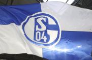 Schalke-Gegner: Spelle im Ausnahmezustand - Trainer erinnert sich an Eigenrauch
