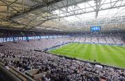 DFB bewirbt sich um Europapokal-Endspiele - Schalke-Arena ein möglicher Ort