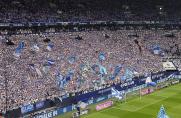 Schalke: Neue Ticketbörse ins Leben gerufen - auf Wunsch der Fans