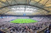 Schalke-Test in Ulm: Fans wundern sich über hohe Ticketpreise