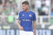 Regionalliga West: Neun Treffer im Schalke-II-Spiel, Bocholt siegt, Ahlen punktet erstmals