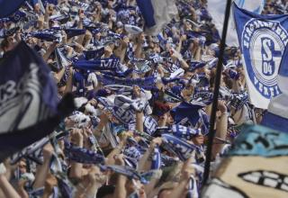 Die Fans des FC Schalke 04 sind stets zahlreich im Stadion vertreten.