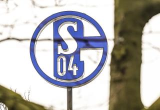 Schalke 04: Rassismus - S04-U15 bricht Partie in Aachen ab
