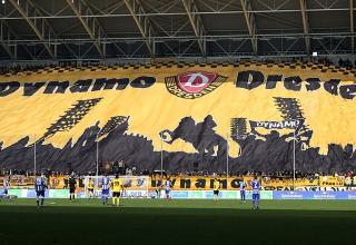 3. Liga: Dynamo Dresden verpflichtet Abwehrspieler aus der Regionalliga