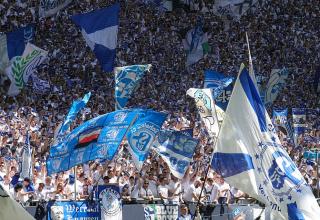 Schalke-Fans beim Heimspiel gegen Rostock.