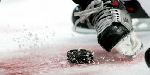 NHL: Sturm trifft beim Sieg gegen Panthers