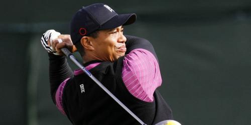 Tiger Woods: Entschuldigung spaltet die Nation