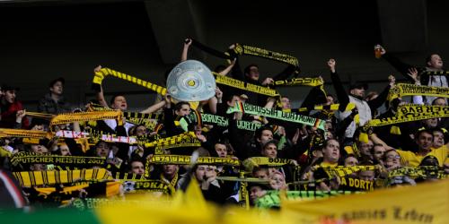 BVB: Umfrage zur Erfolgsgeschichte der Borussia