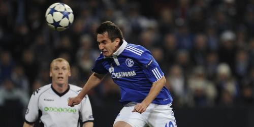 Schalke: Mainz will Gavranovic ausleihen
