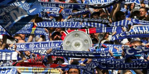 Schalke: Billardkugel-Werfer stellt sich