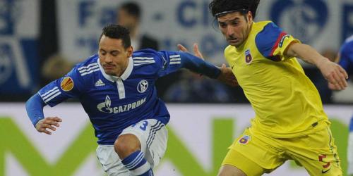 Schalke: Stimmen zum Spiel gegen Steaua