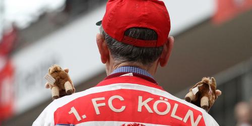 1. FC Köln: Sportdirektor-Suche in aller Ruhe