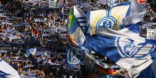 Gewinnspiel: 3x2 Karten für Hoffenheim gegen Schalke